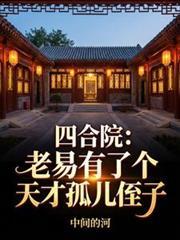 四合院老易有了个天才孤儿侄子TXT