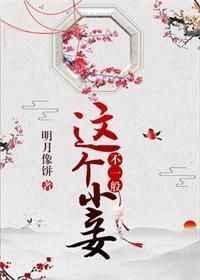 这个小妾不一般笔趣阁
