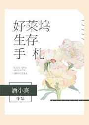 好莱坞电影手册