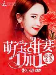 暖婚蜜爱宠小甜妻