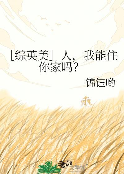 综英美人