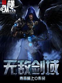 无敌剑域境界划分