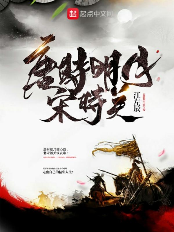 唐时明月宋时关 第525章