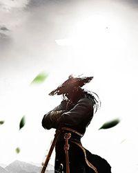 率土之滨应用宝版